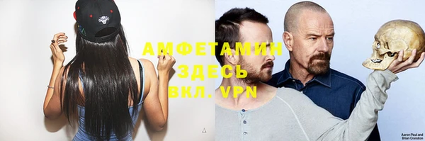 сатива Нея