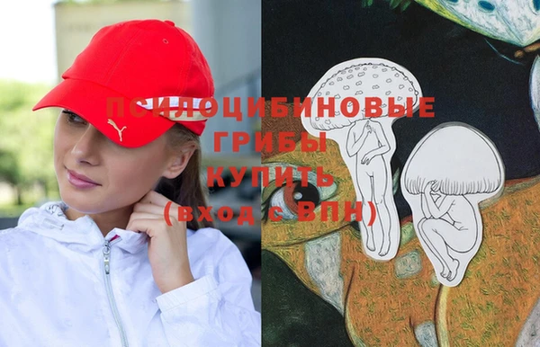 сатива Нея