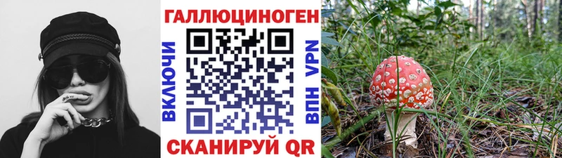 Купить  Спасск  Псилоцибиновые грибы Cubensis 