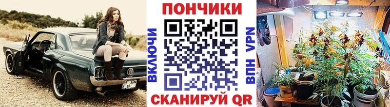 Бошки марихуана VHQ  Купить где  Спасск 